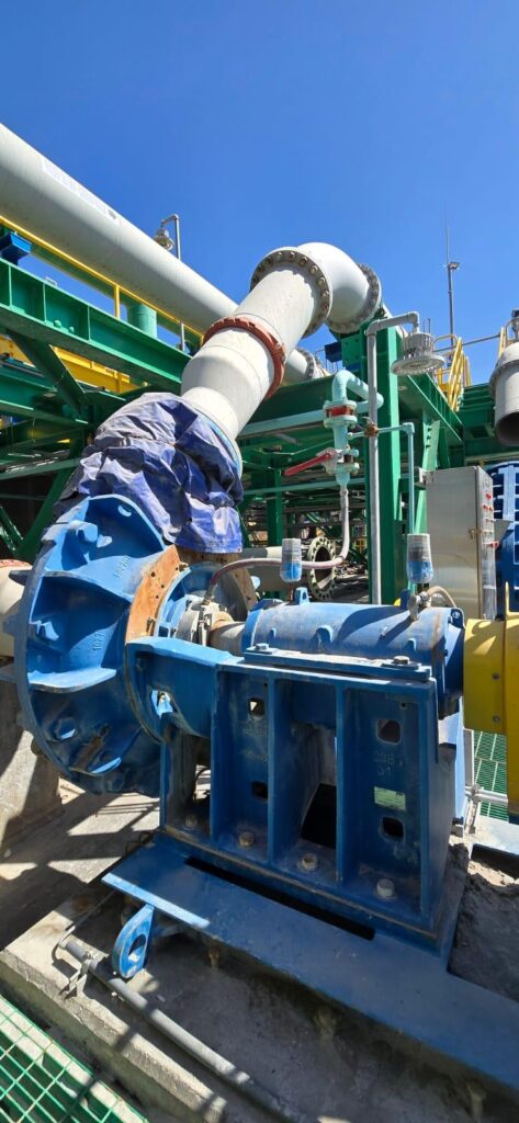 WhatsApp Image 2025-04-23 at 14.02.53